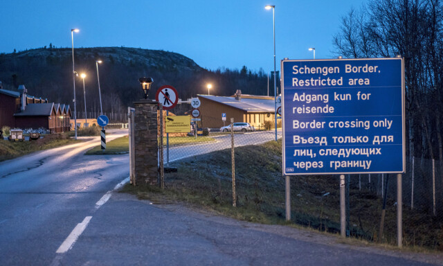 Alarmen gikk ved russergrensa etter svinepest-funn: - Et mareritt